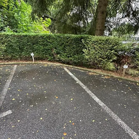 Bel Pradet C 513, 300m Centre Ville, Vue Sur Le Sancy *