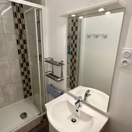 Bel Pradet C 513, 300m Centre Ville, Vue Sur Le Sancy 公寓 Mont-Dore