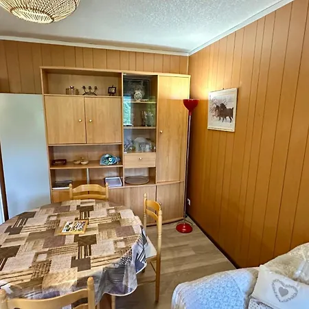 Bel Pradet C 513, 300m Centre Ville, Vue Sur Le Sancy 公寓 Mont-Dore