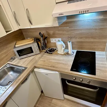 Apartment Bel Pradet C 513, 300m Centre Ville, Vue Sur Le Sancy *