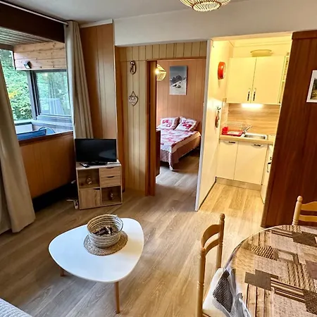 Bel Pradet C 513, 300m Centre Ville, Vue Sur Le Sancy *