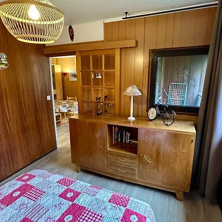 Bel Pradet C 513, 300m Centre Ville, Vue Sur Le Sancy