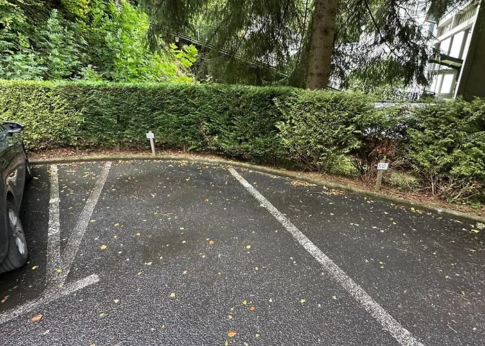 Bel Pradet C 513, 300m Centre Ville, Vue Sur Le Sancy *