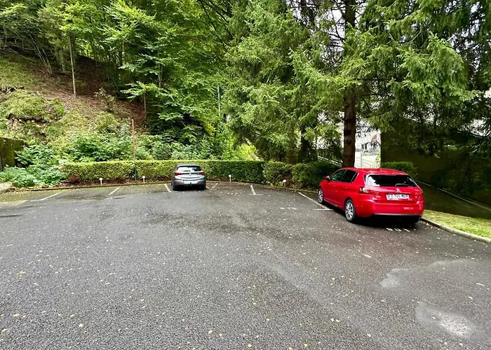 Апартаменты Bel Pradet C 513, 300m Centre Ville, Vue Sur Le Sancy Mont-Dore