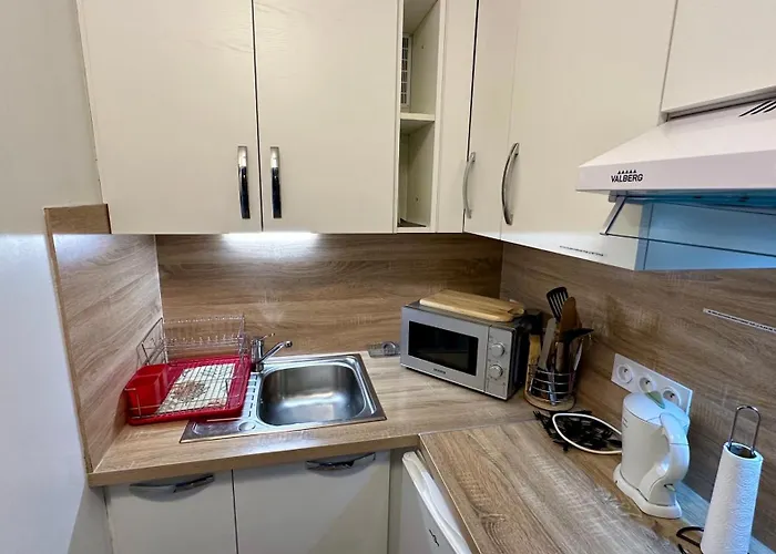 Апартаменты Bel Pradet C 513, 300m Centre Ville, Vue Sur Le Sancy