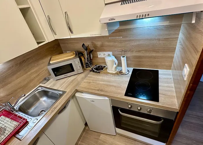 アパート Bel Pradet C 513, 300m Centre Ville, Vue Sur Le Sancy *