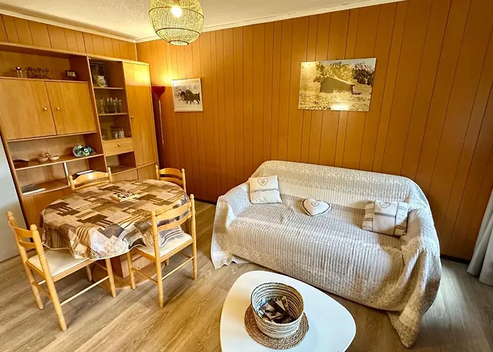 Bel Pradet C 513, 300m Centre Ville, Vue Sur Le Sancy Mont-Dore