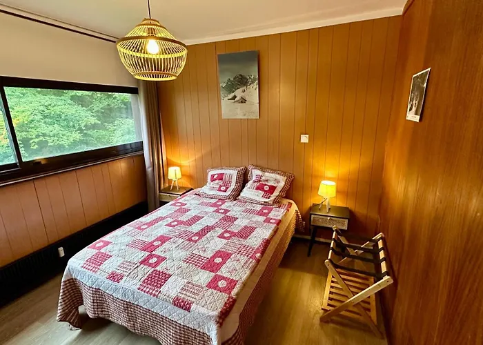 Апартаменты Bel Pradet C 513, 300m Centre Ville, Vue Sur Le Sancy