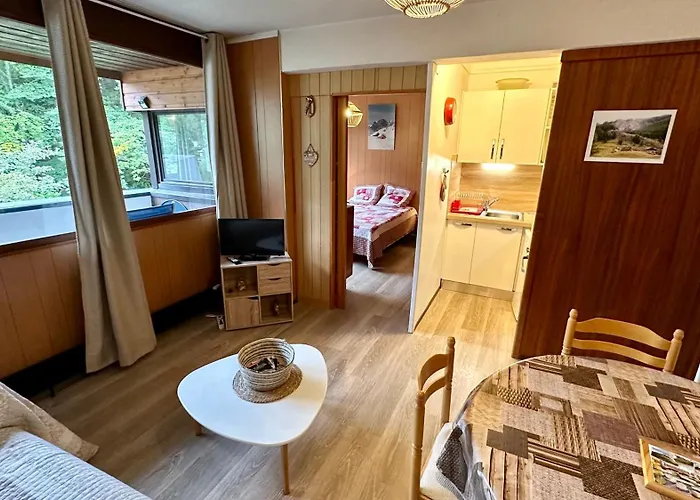 Bel Pradet C 513, 300m Centre Ville, Vue Sur Le Sancy *