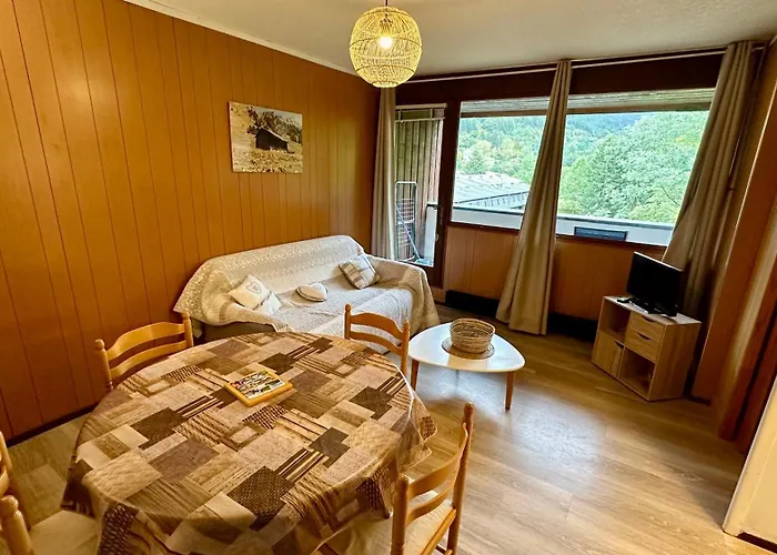 Bel Pradet C 513, 300m Centre Ville, Vue Sur Le Sancy Mont-Dore