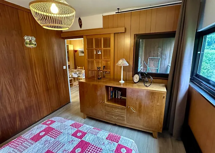 Bel Pradet C 513, 300m Centre Ville, Vue Sur Le Sancy